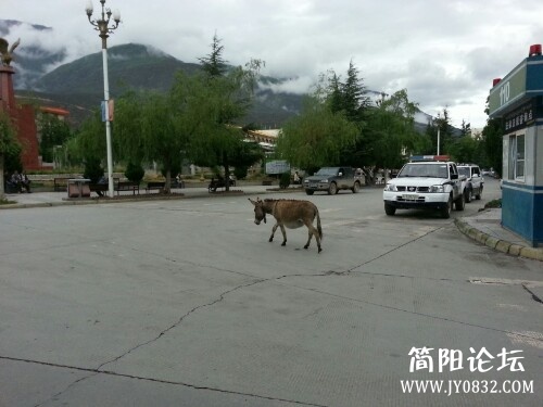 IMG20130701180155.jpg