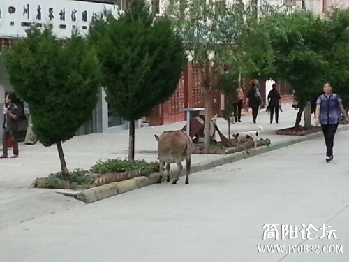 IMG20130701180229.jpg
