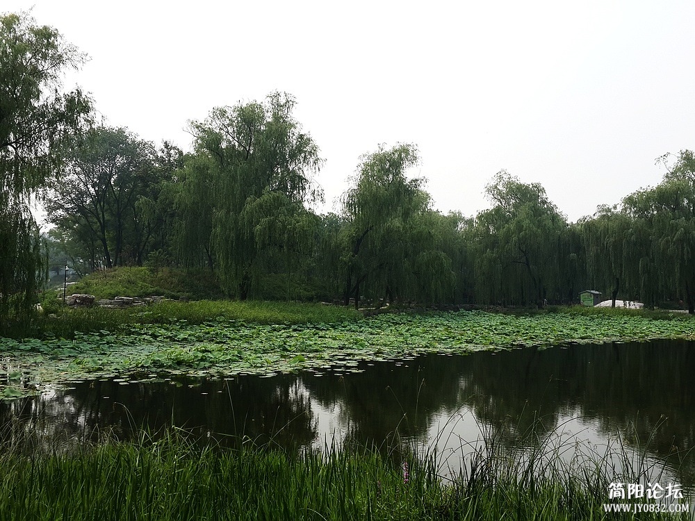 20130615_141536.jpg