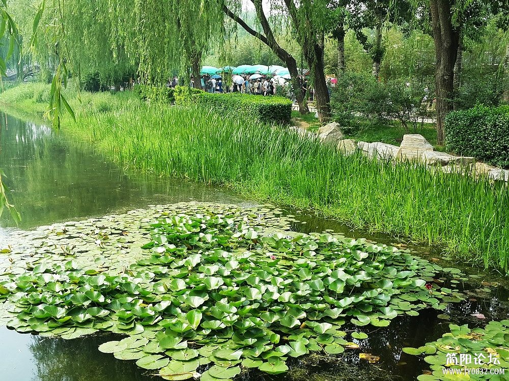 20130615_141724.jpg