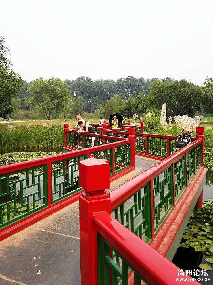 20130615_144946_1.jpg