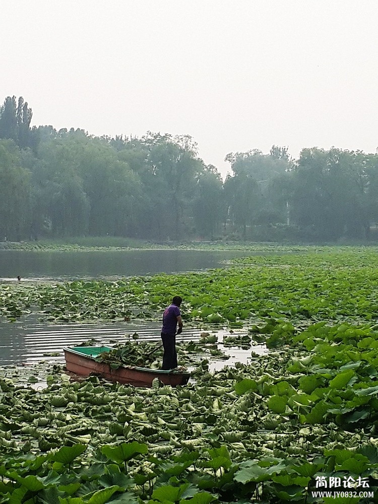20130615_145404.jpg
