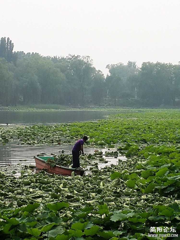 20130615_145406.jpg