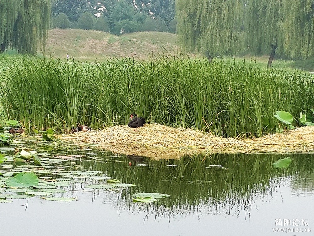 20130615_155011.jpg