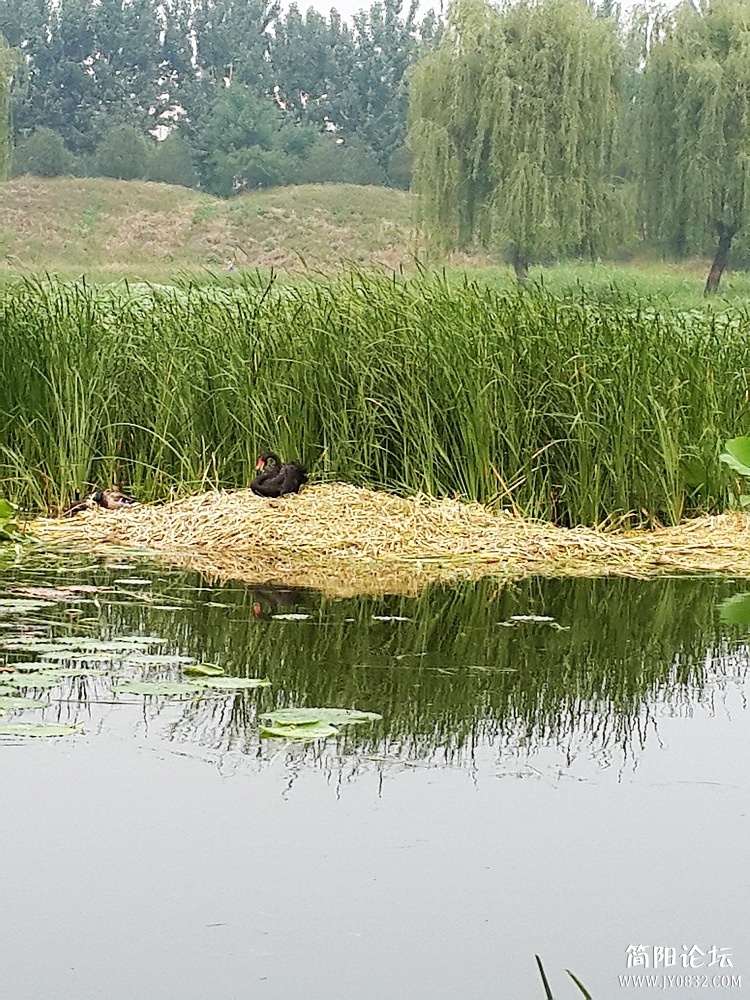 20130615_155003_1.jpg