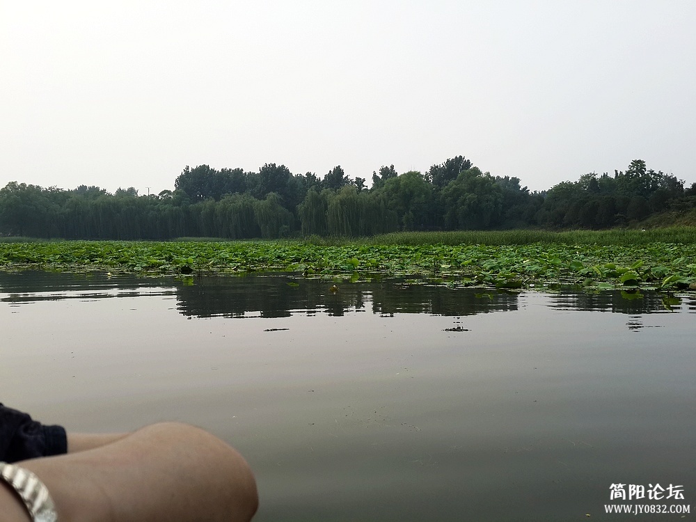 20130615_165134.jpg
