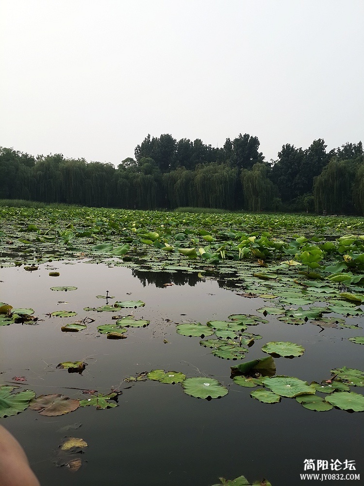 20130615_165335.jpg
