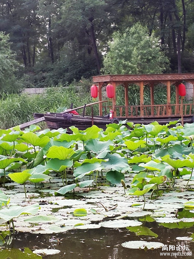 20130615_170811.jpg