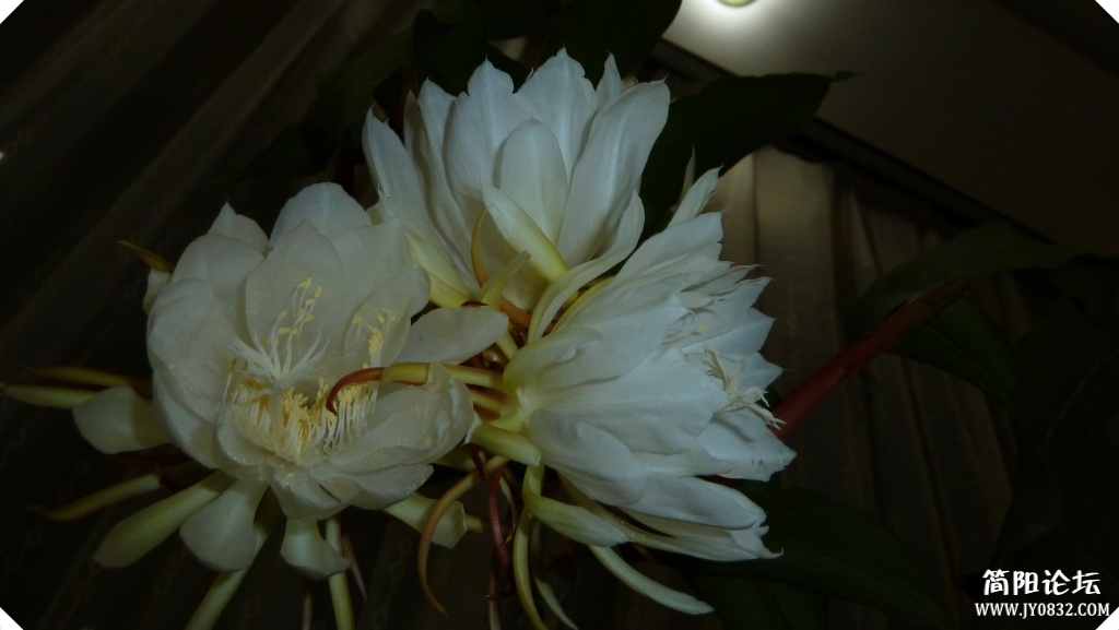 P1070772_副本.jpg