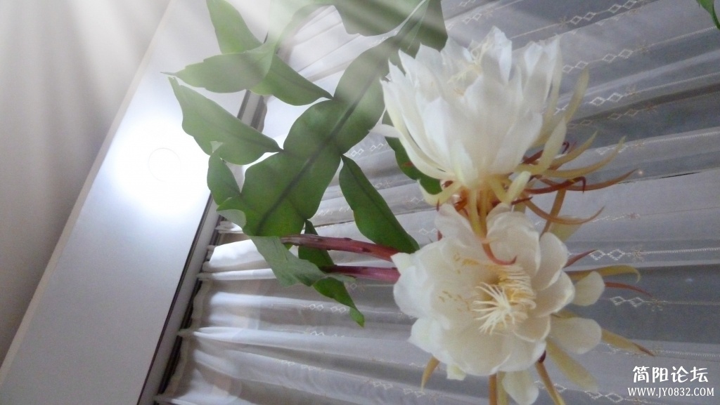 P1070780_副本.jpg