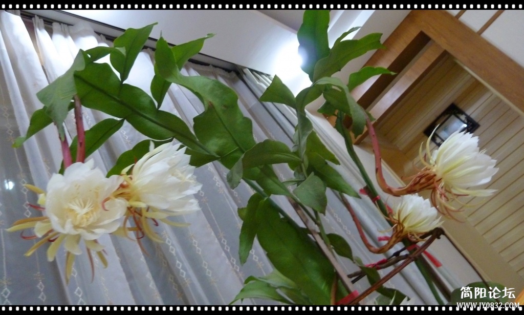 P1070782_副本.jpg