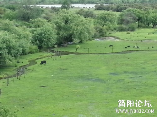 IMG20130705181132.jpg