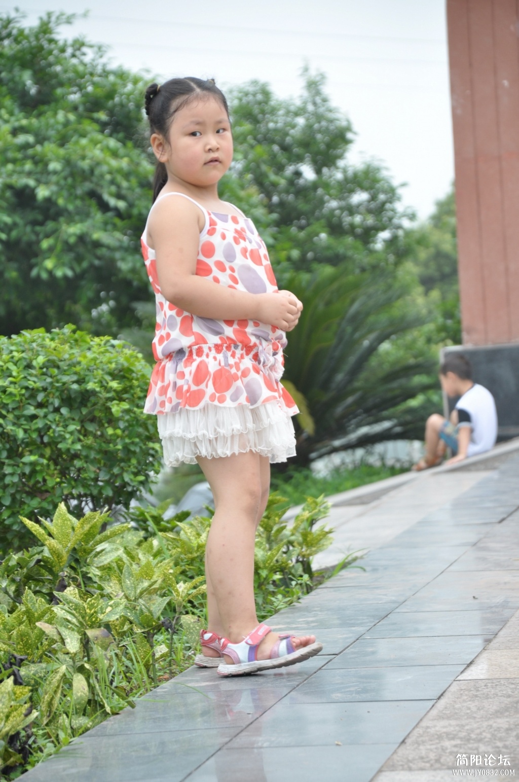 DSC_8468.jpg