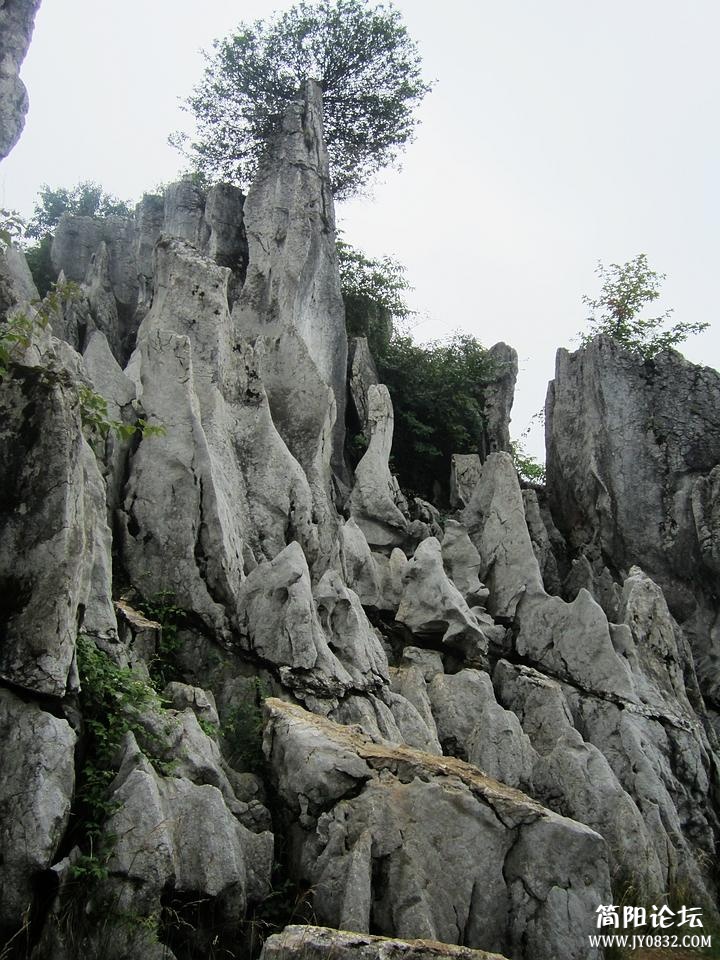 nEO_IMG_IMG_1853.jpg