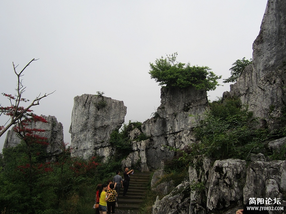 nEO_IMG_IMG_1854.jpg