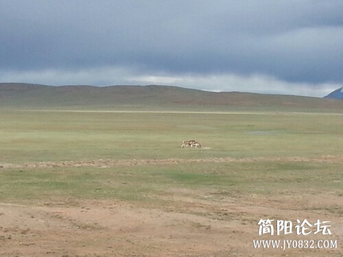 IMG20130710230307.jpg