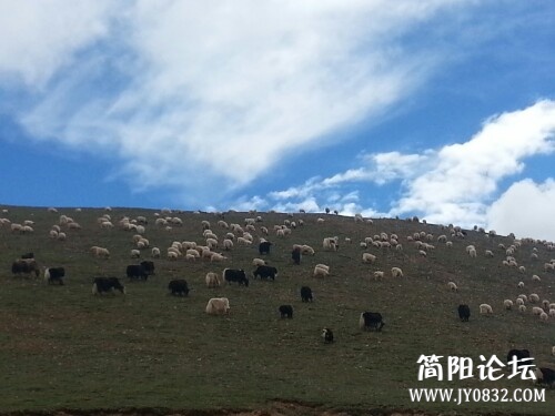 IMG20130710230456.jpg