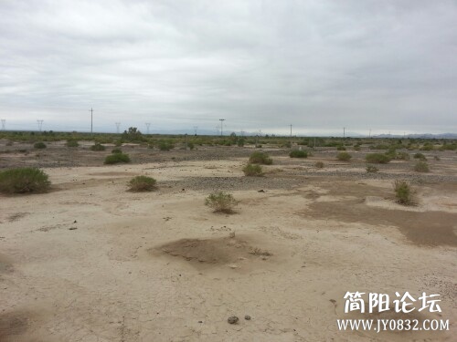 IMG20130713170946.jpg