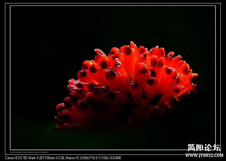 nEO_IMG_IMG_5421a.jpg
