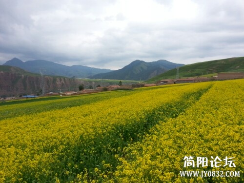 IMG20130713233613.jpg