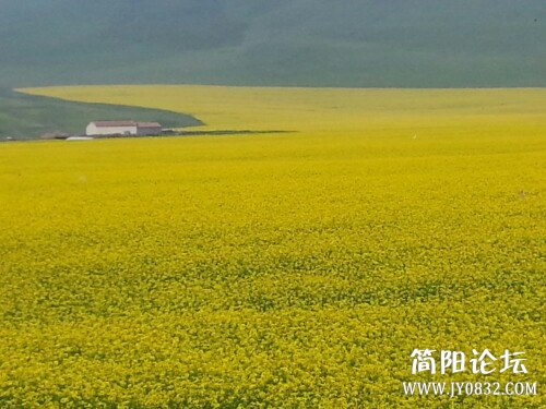 IMG20130714233114.jpg