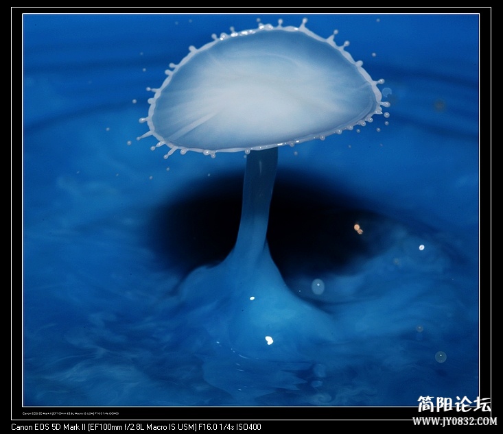 nEO_IMG_IMG_8146a.jpg