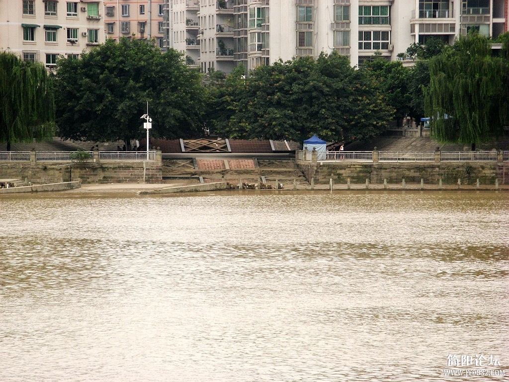 IMG_4717.JPG