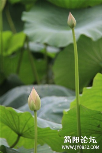 IMG_5245_副本.jpg