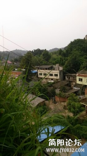 IMG20130725215345.jpg