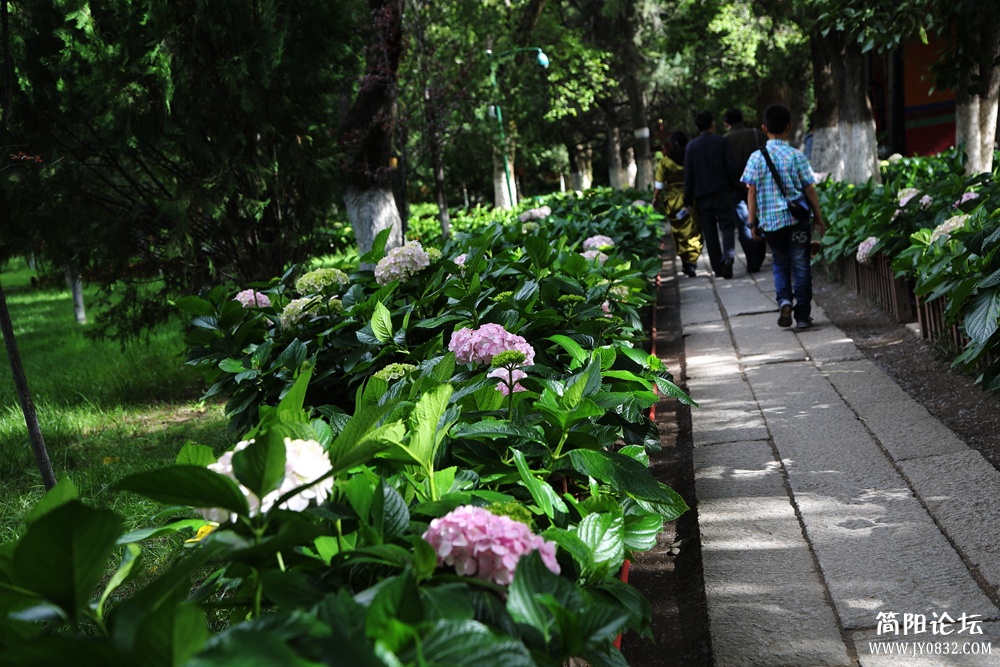 2P2A4394_副本.jpg