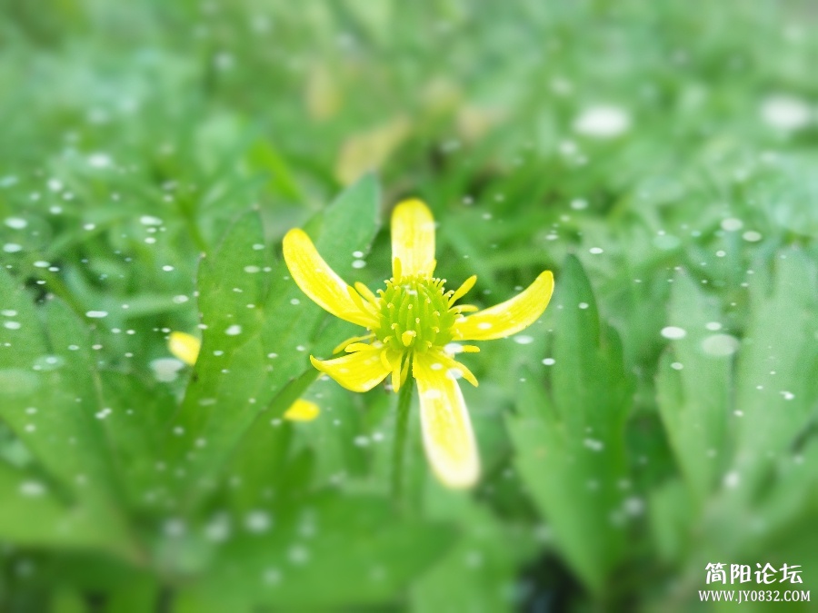 照片0058_副本_HZP.jpg