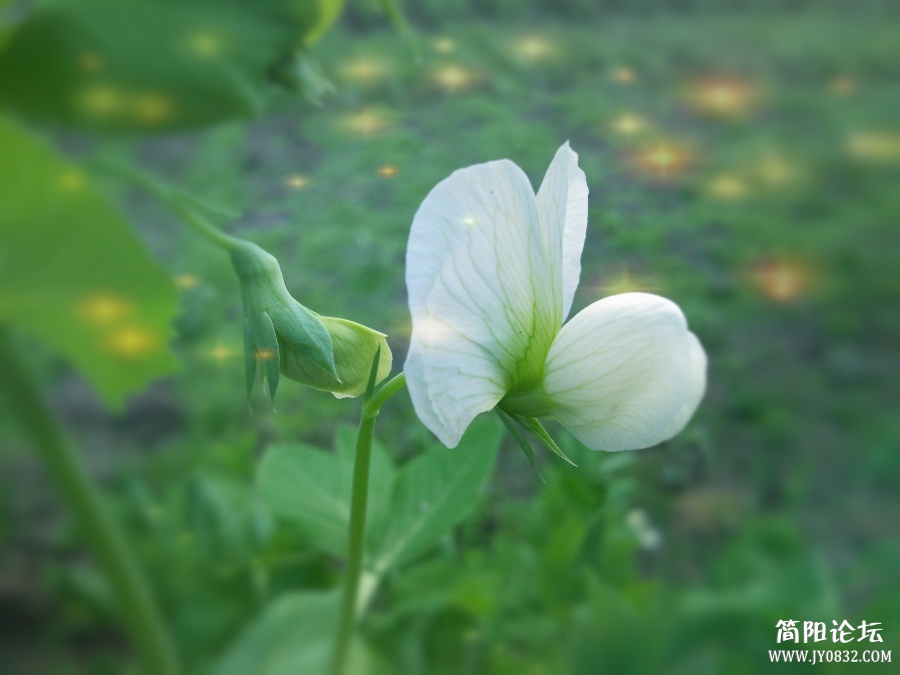 照片0047_副本_HZP.jpg
