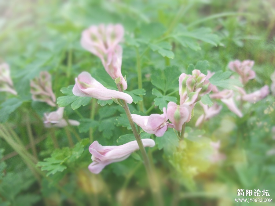 照片0251_HZP.jpg