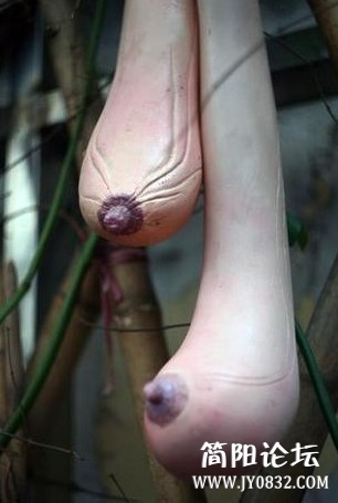超逼真!越南神奇乳瓜929e22824d1c83d9b8b5fc56d5612c53.jpg