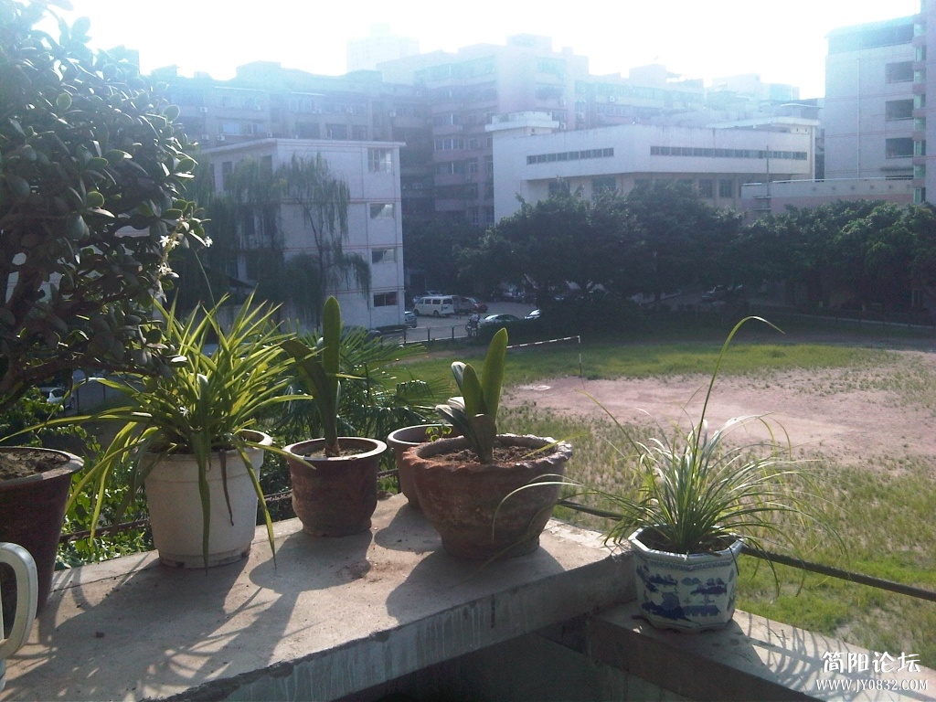 IMG00246-20130730-1729.jpg