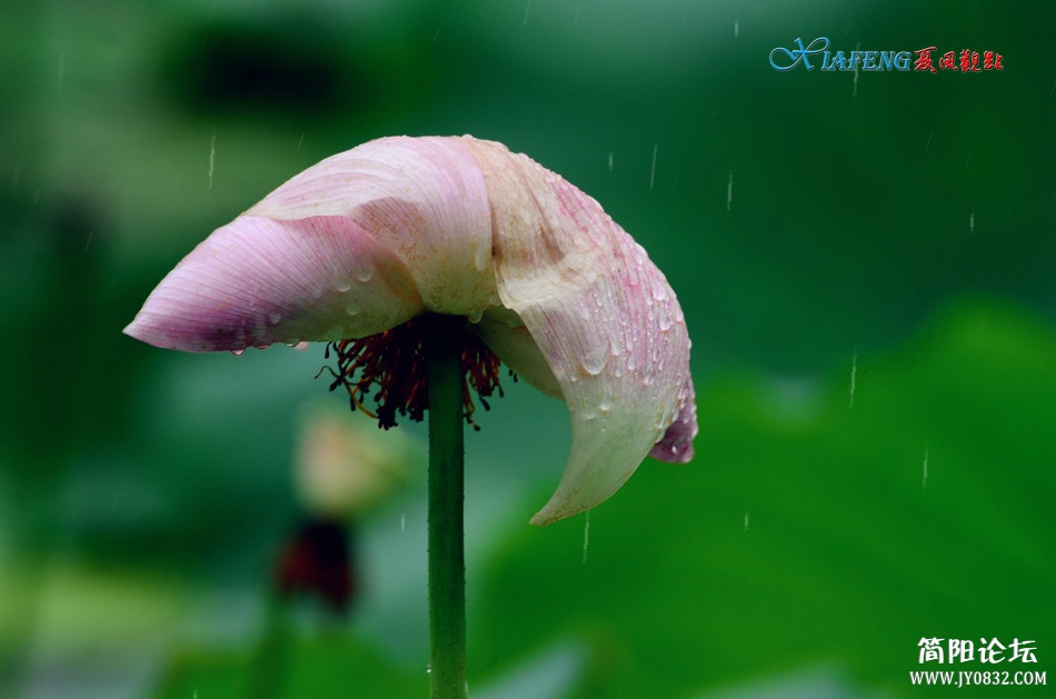 dsc_5416_副本.jpg
