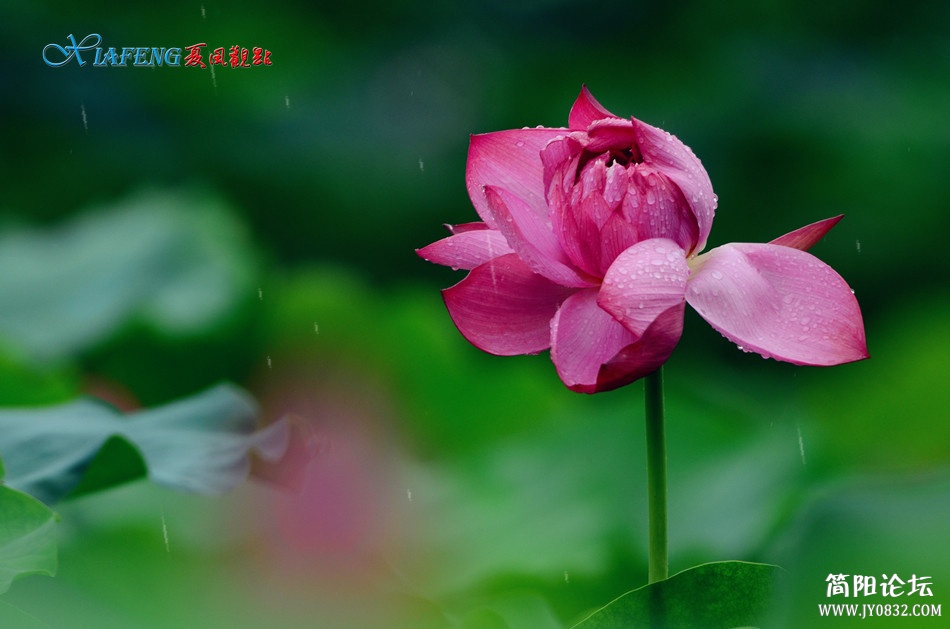 dsc_5642_副本.jpg