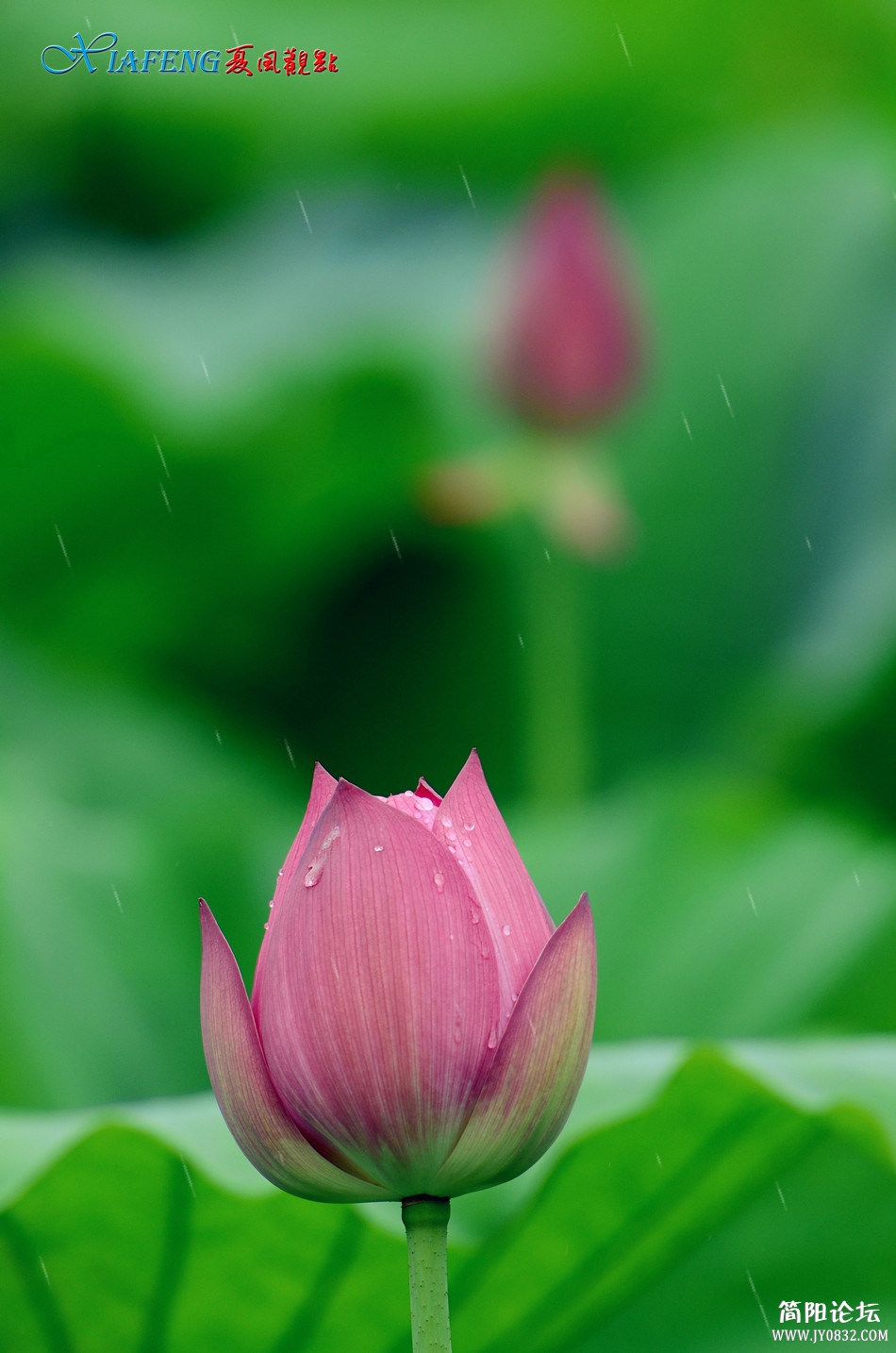 dsc_5623_副本.jpg