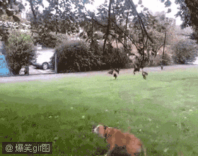 9f510fb30f2442a726ad2030d043ad4bd0130280.gif