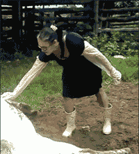 51b5d85cb4444.gif