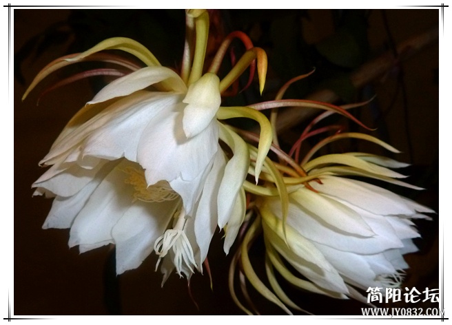 P1110030_副本.jpg