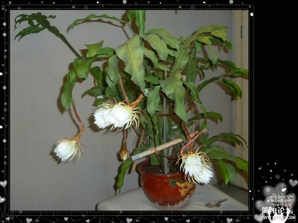 P1110032_副本.jpg