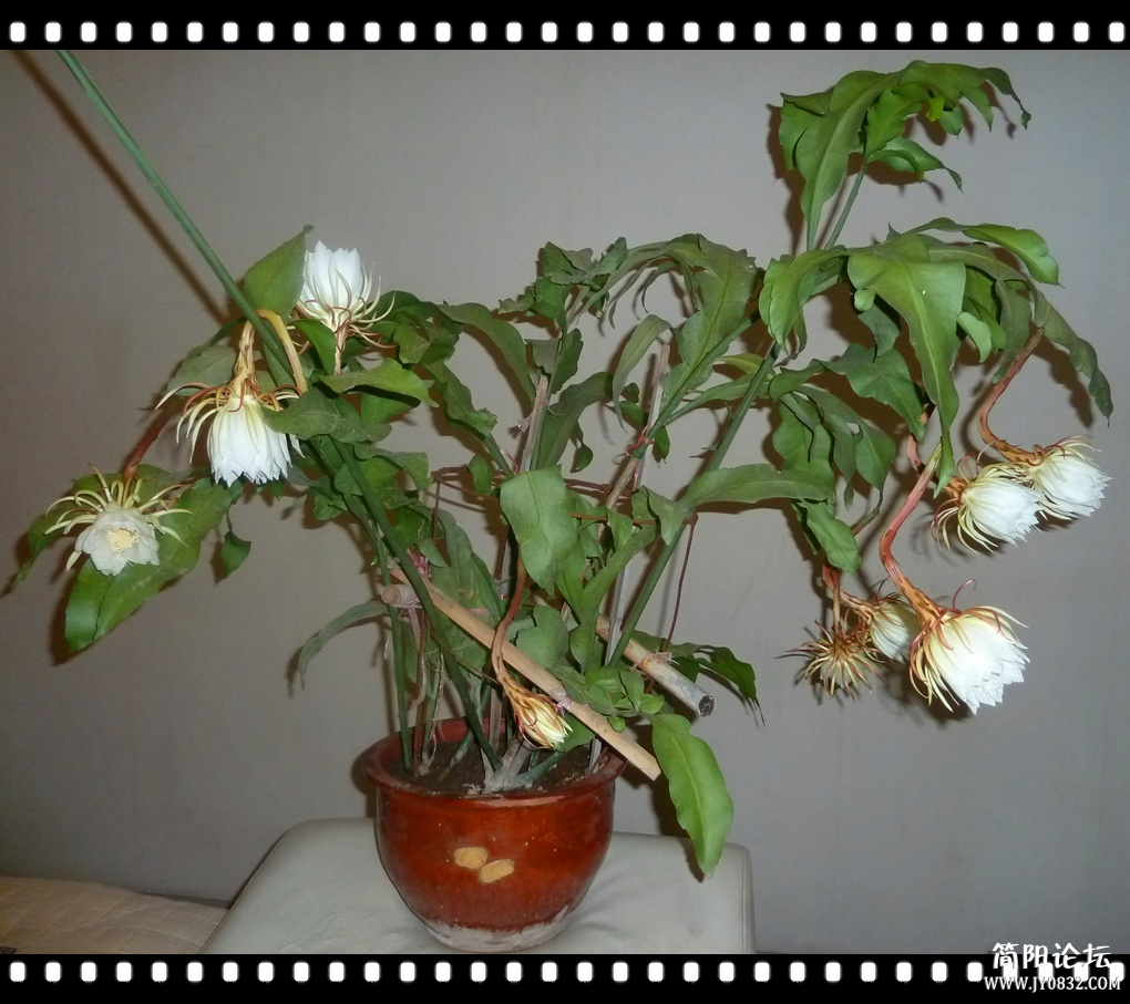 P1110035_副本.jpg