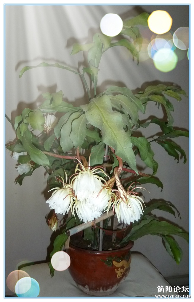 P1110051_副本_副本.jpg