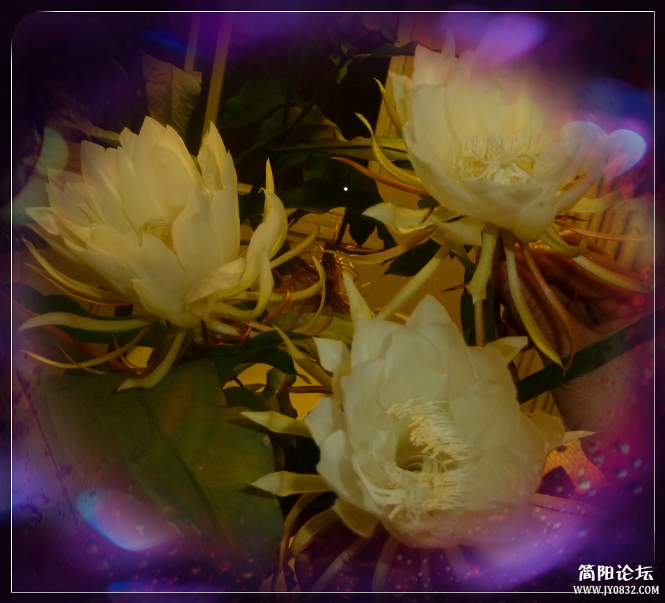 P1110053_副本.jpg