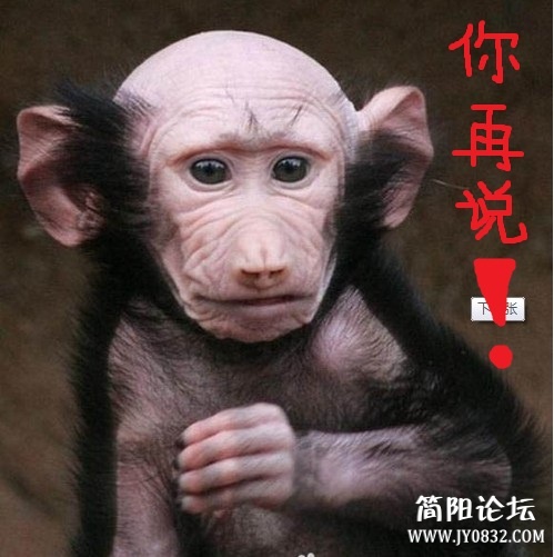 禿禿 (1).jpg
