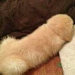 5158b4fabac5d0a16a69616e9334.jpeg