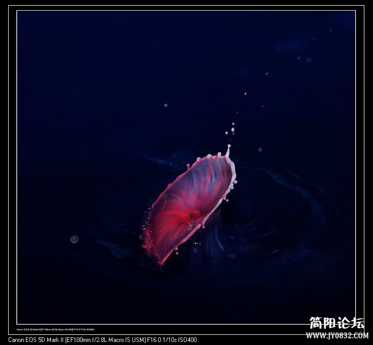 nEO_IMG_IMG_2500a.jpg
