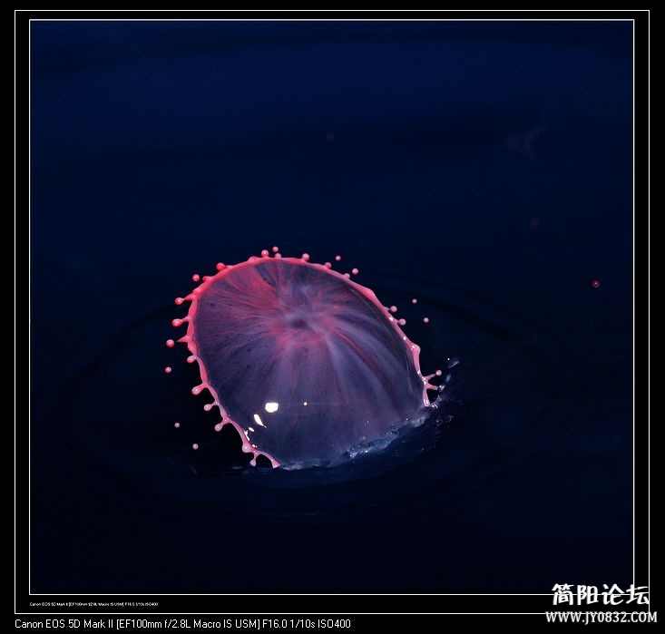 nEO_IMG_IMG_2586a.jpg