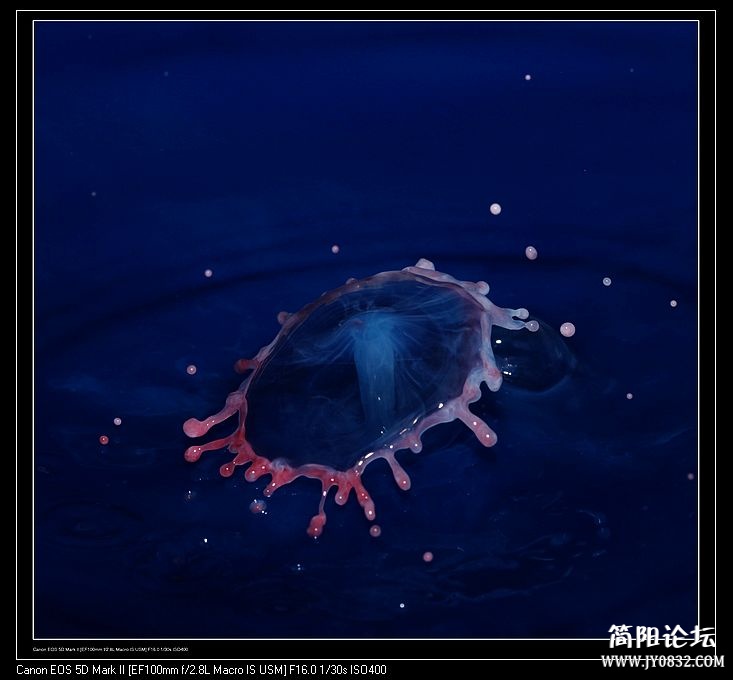 nEO_IMG_IMG_3792a.jpg
